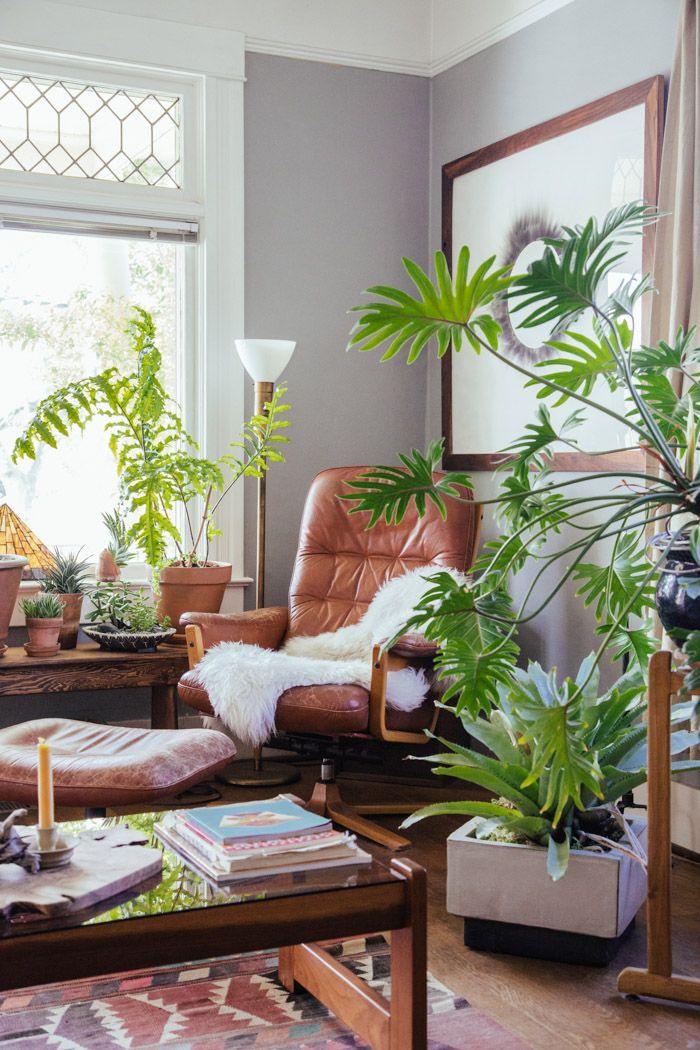 Sống Một Mình, Nhưng Không Đơn Độc: Tạo Nên Một Không Gian Ôm Lấy Tâm Hồn 5 Góc đọc sách với cây xanh