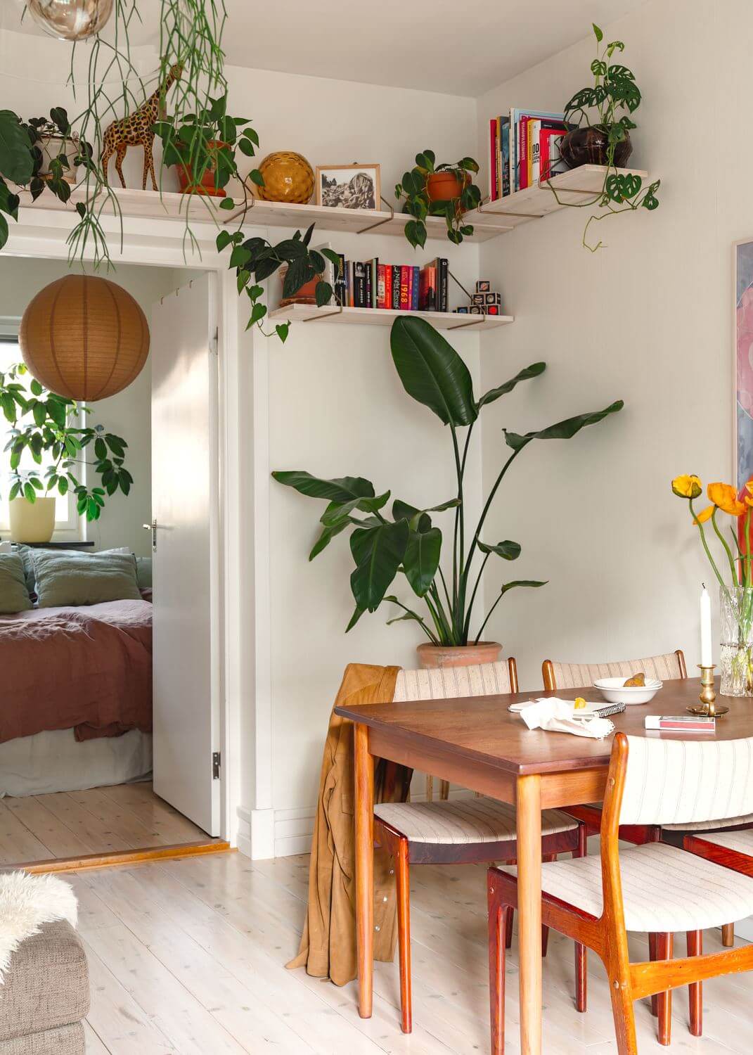 Small light apartment with plants