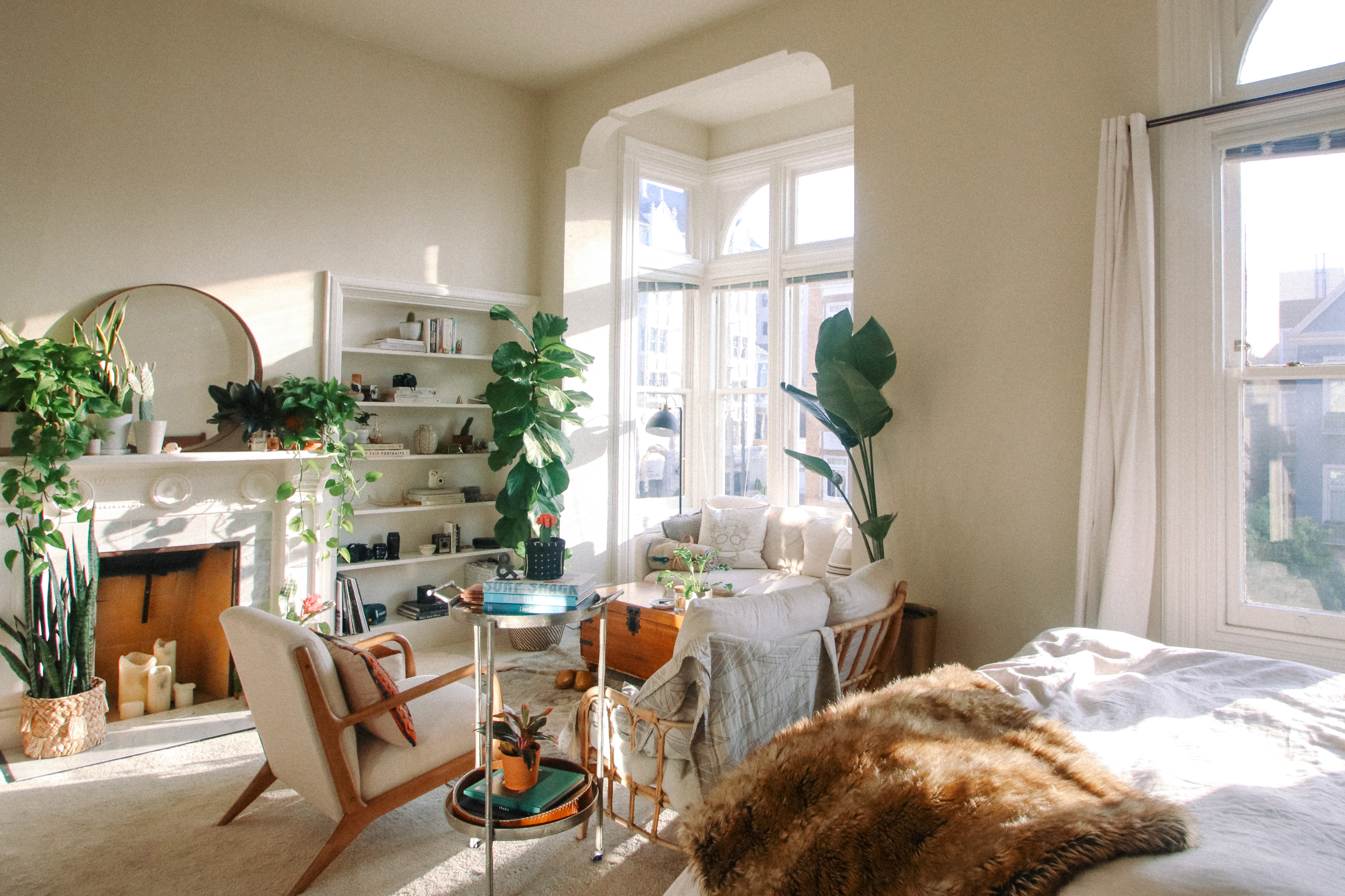 Small studio apartment with plants