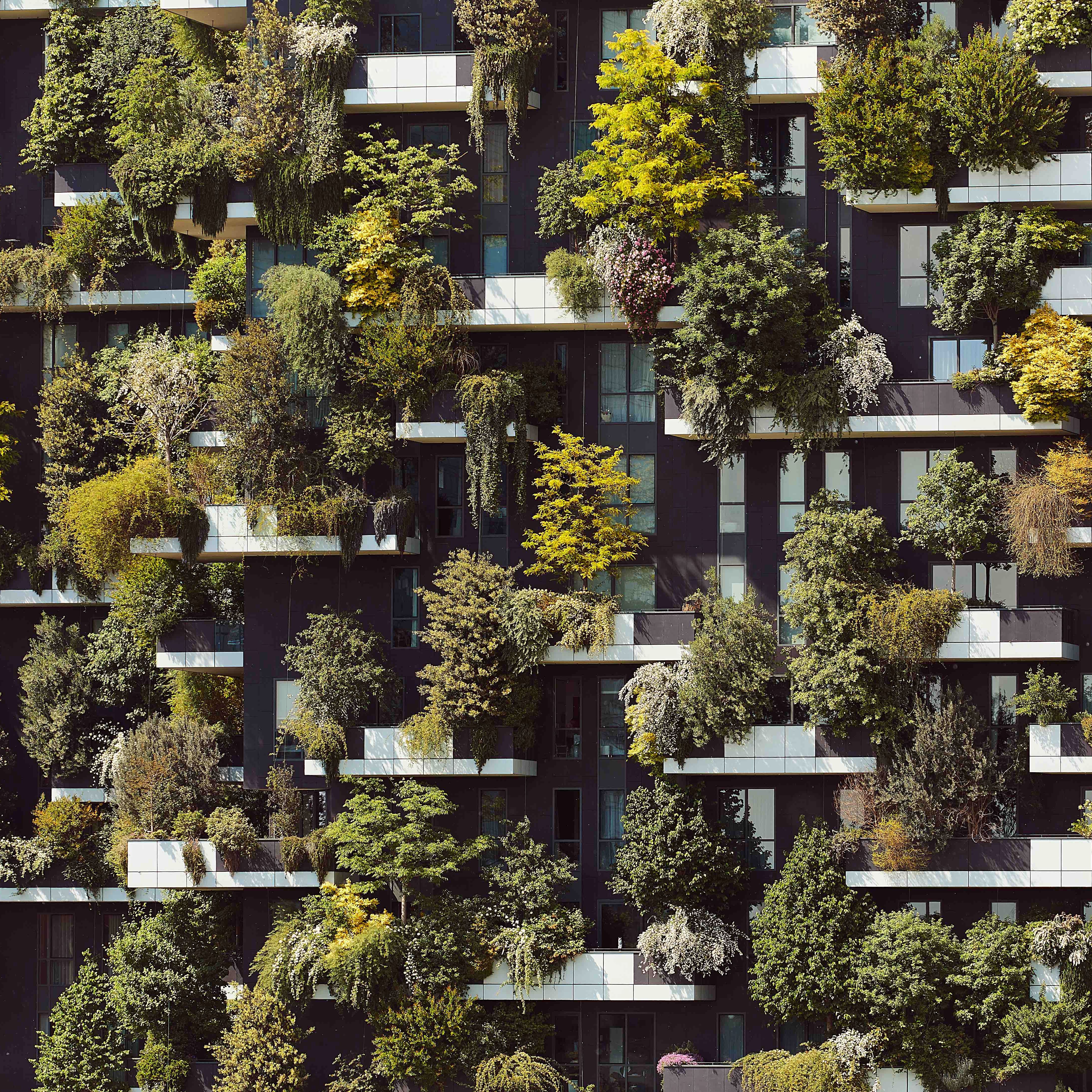 Bosco Verticale Detail