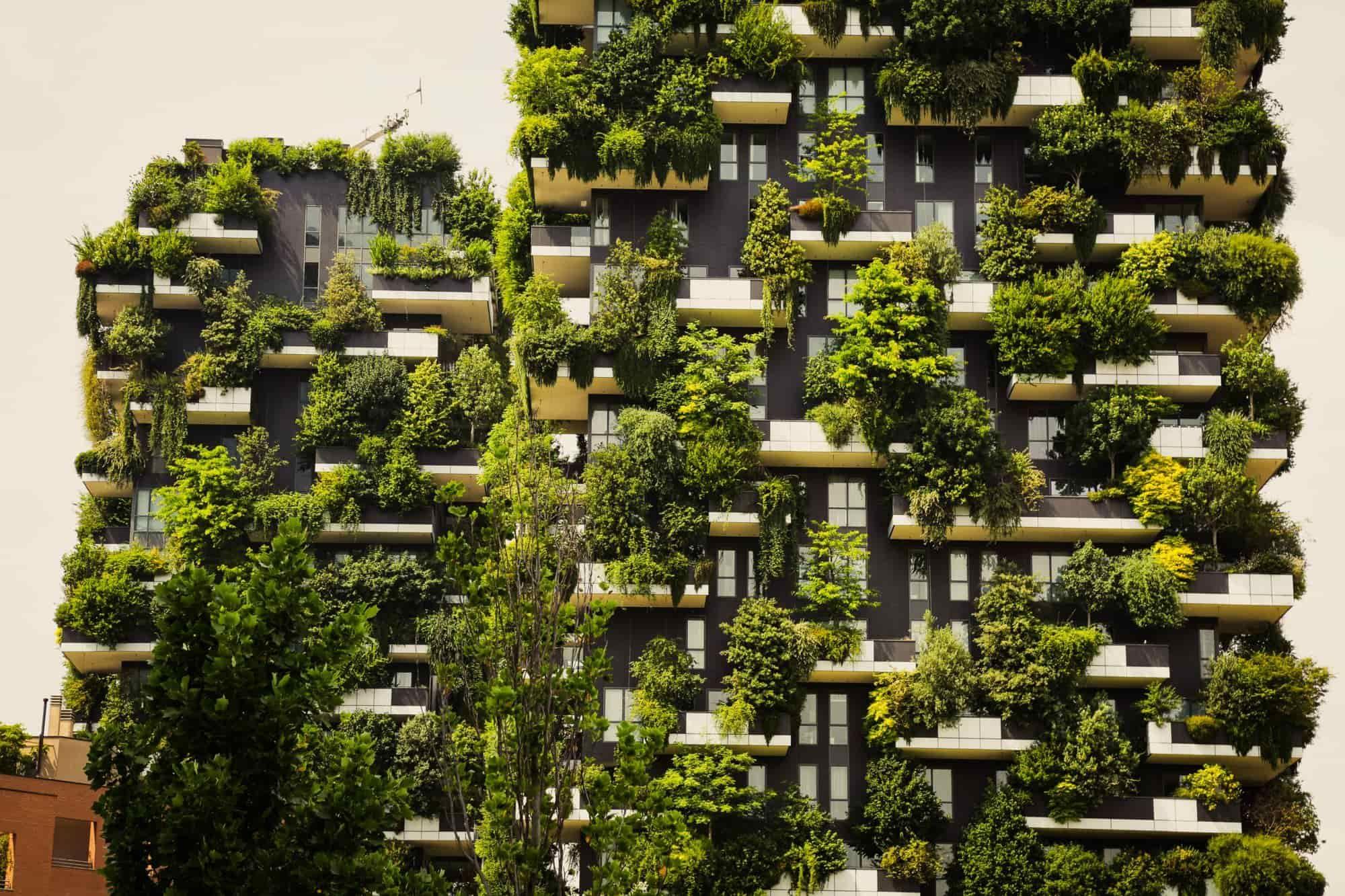 Sustainable Architecture Building